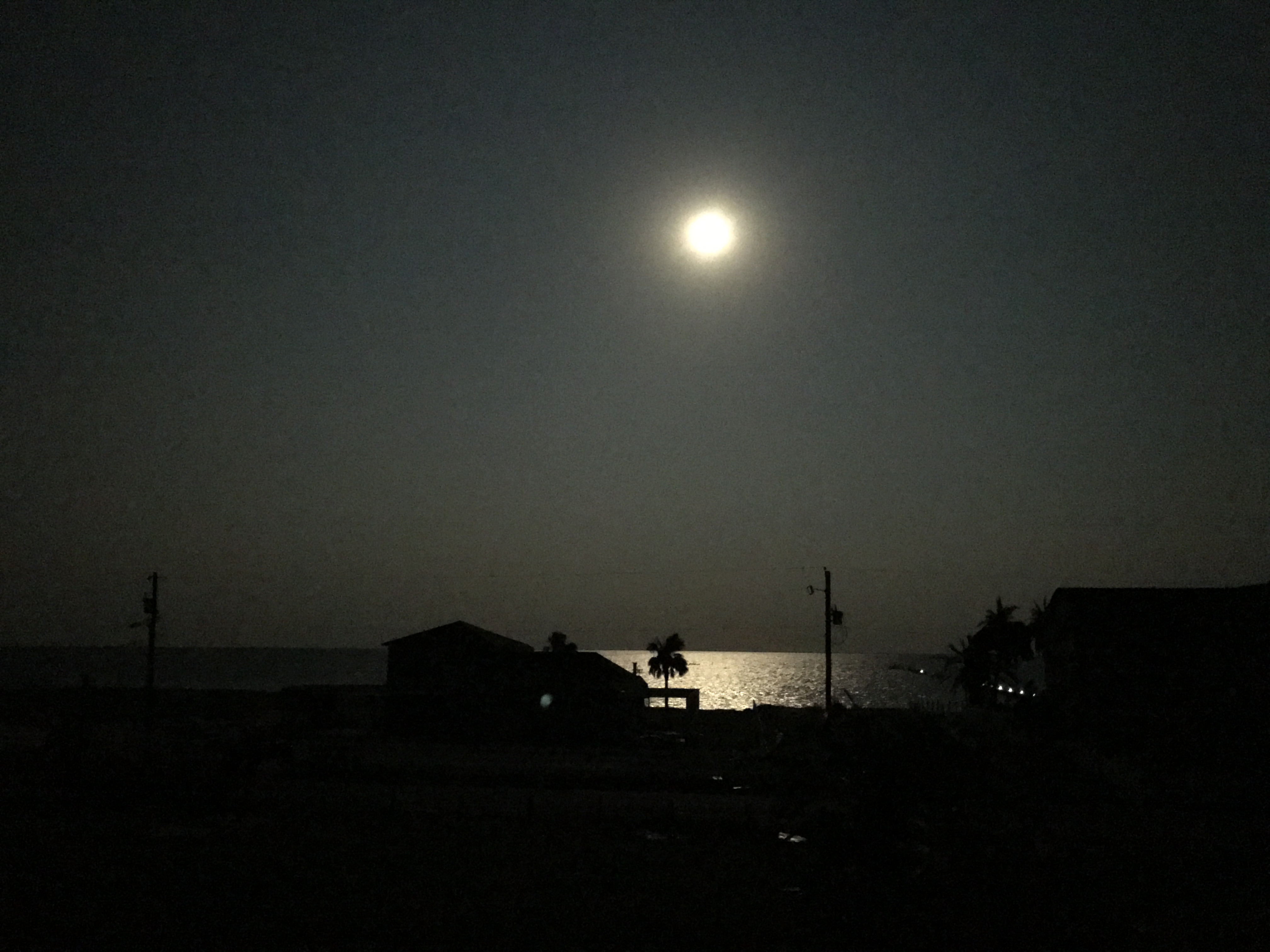 B1C0BC1B-34FA-4C89-8BF1-56CDBFF28504